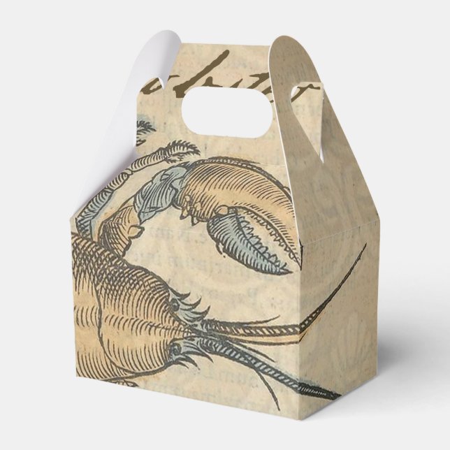 Ballotins Illustration de homard, fruits de mer du Maine (Verso)