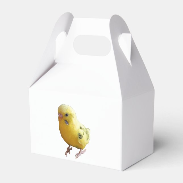Ballotins Jolie Parakeet Jaune Amical Animaux de compagnie P (Verso)