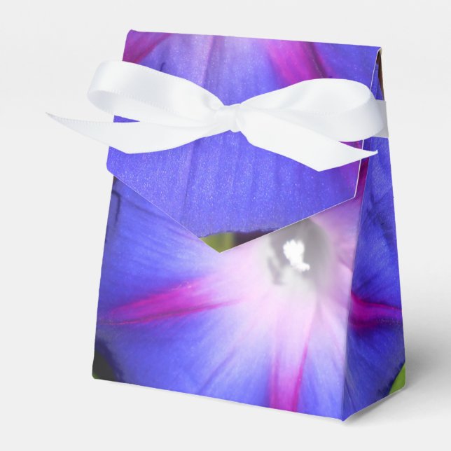 Ballotins Labille-Guiard (Verso)