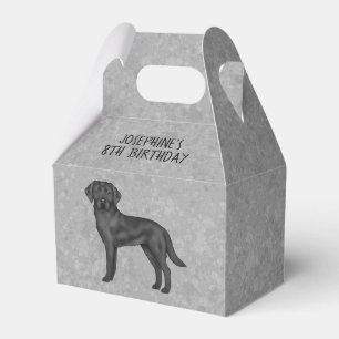 Ballotins Labrador Retriever Noir Anniversaire Enfant Person