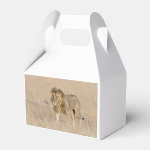 Ballotins Lion marchant