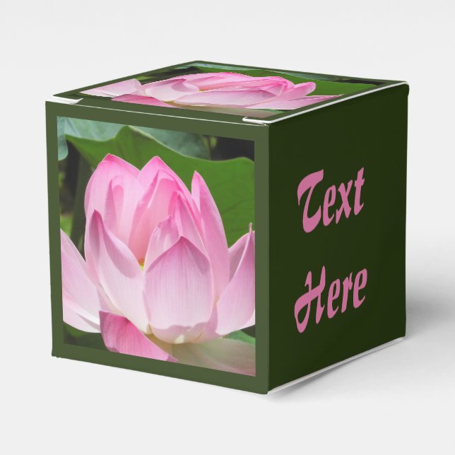 Ballotins Lotus Bloom rose (Verso)