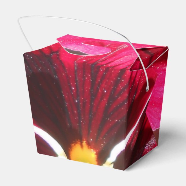 Ballotins Lucrezia (Arrière)