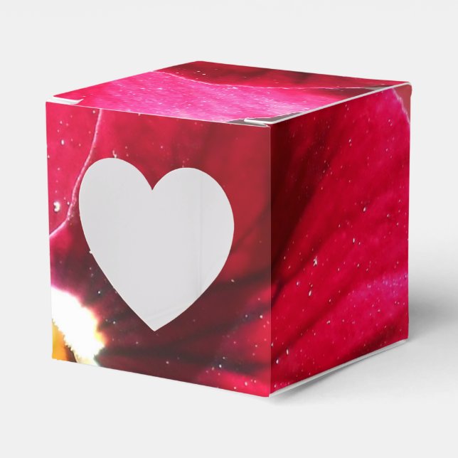 Ballotins Lucrezia (Verso)