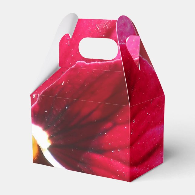 Ballotins Lucrezia (Verso)