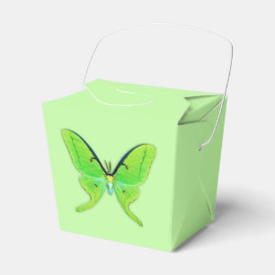 Ballotins Luna moth sur un arrière - plan vert pâle