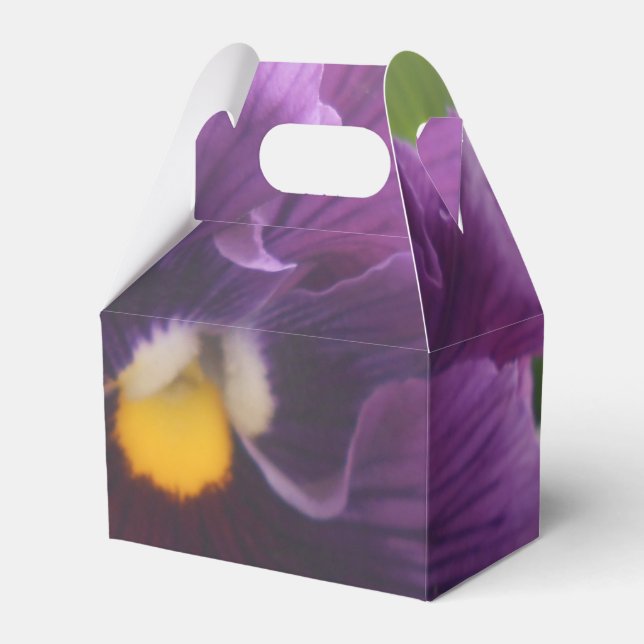 Ballotins Mechteld (Verso)