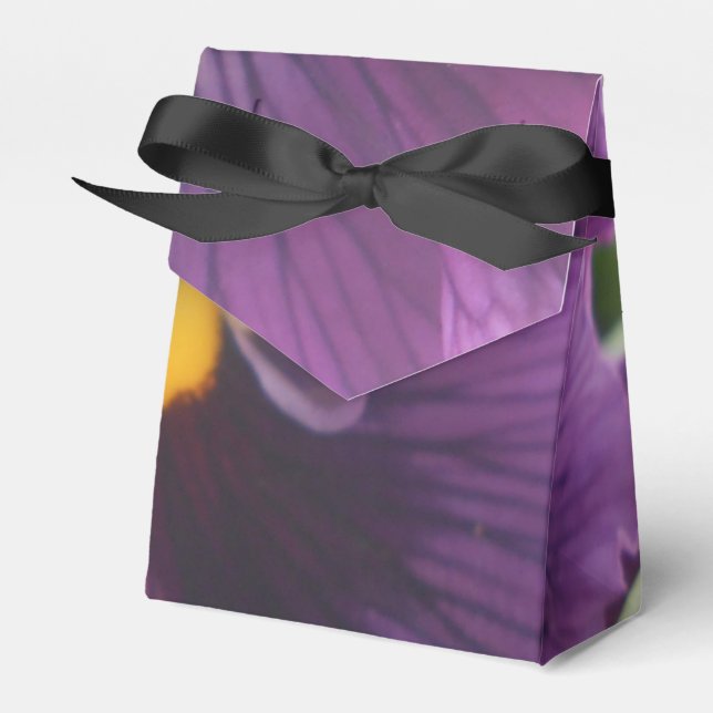 Ballotins Mechteld (Verso)