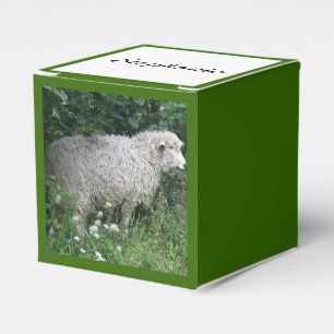 Ballotins Mignarde mouton gourmand Manger Ballotin personnal