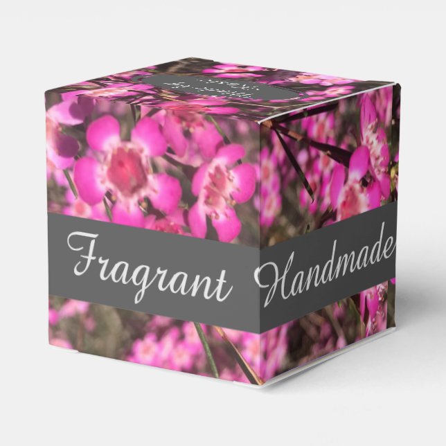 Ballotins Mini Geraldton Wax (Arrière)