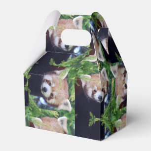 Ballotins Motif de panda rouge