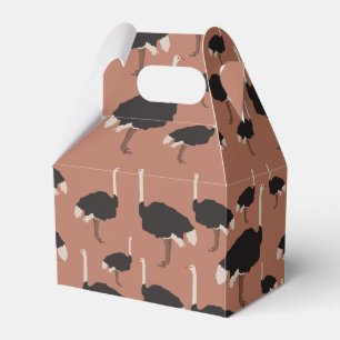 Ballotins Motif d'illustration Ostrich Bird