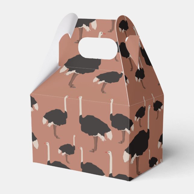 Ballotins Motif d'illustration Ostrich Bird (Verso)