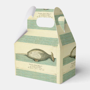 Ballotins Narwhal Antique Baleine Aquarelle Art scientifique