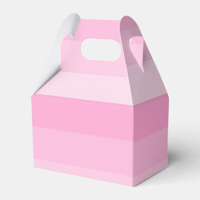 Ballotins Nuances de rayures roses (Arrière)