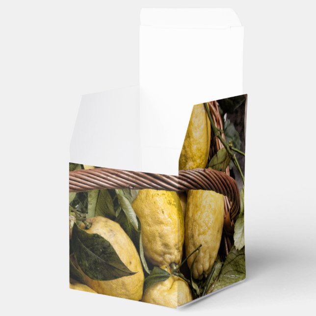 Ballotins Panier de citron Amalfi (Ouvert)