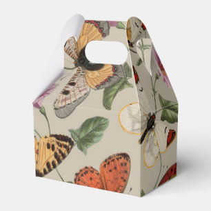 Ballotins Papillon Moth Nature Collection Dessin
