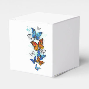 Ballotins Papillons volants Morpho et Monarch