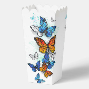 Ballotins Papillons volants Morpho et Monarch