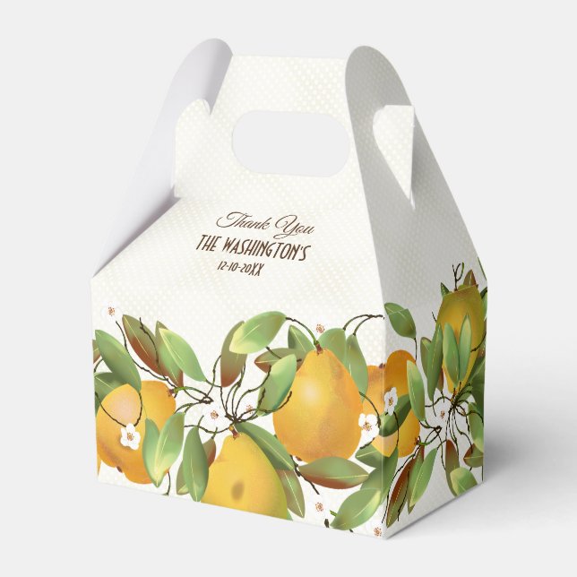 Ballotins Pears Fruit Botanique (Verso)