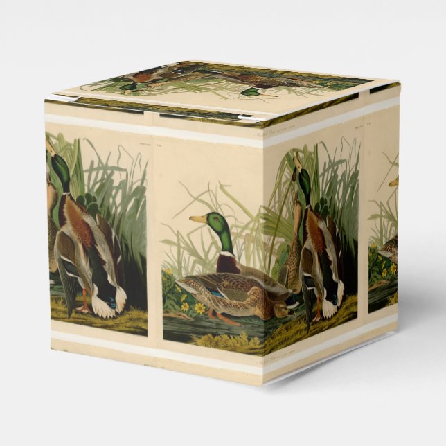 Ballotins Peinture d'oiseaux de Mallard Duck Audubon (Verso)