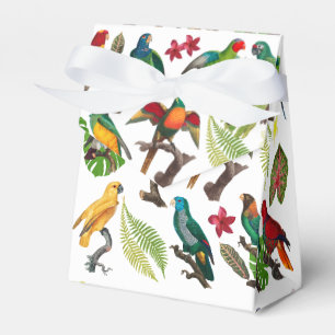 Ballotins Perroquets, feuilles et fleurs tropicaux colorés