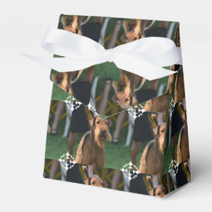 Ballotins Personnaliser