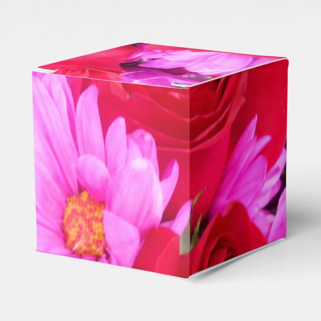 Ballotins Philippines (Verso)