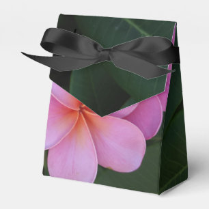 Ballotins photo floral plumeria