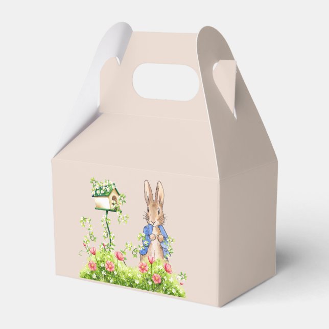 Ballotins Pierre le lapin dans son jardin (Verso)