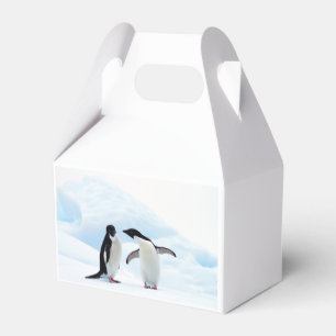 Ballotins Pingouins d'Adelie