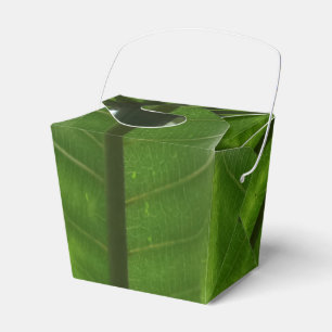 Ballotins Plante vert Sortir Ballotin