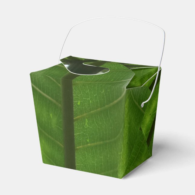 Ballotins Plante vert Sortir Ballotin (Verso)
