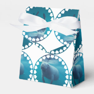 Ballotins Produit de personnaliser