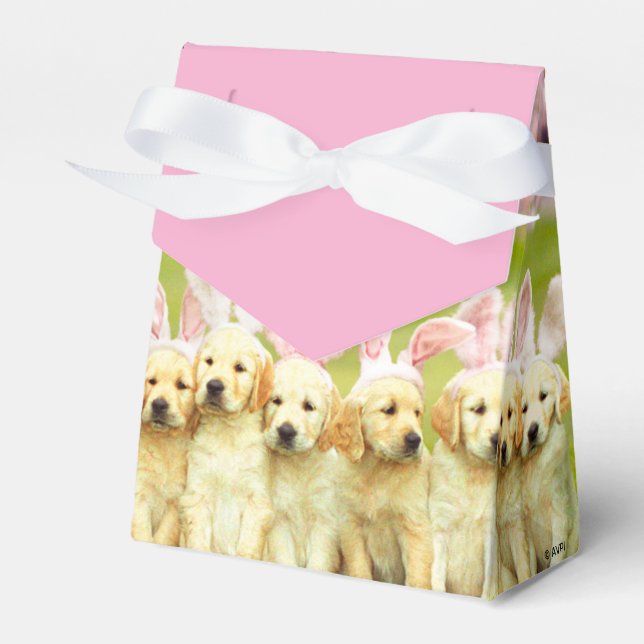 Ballotins Rangée de lapins chiots (Verso)