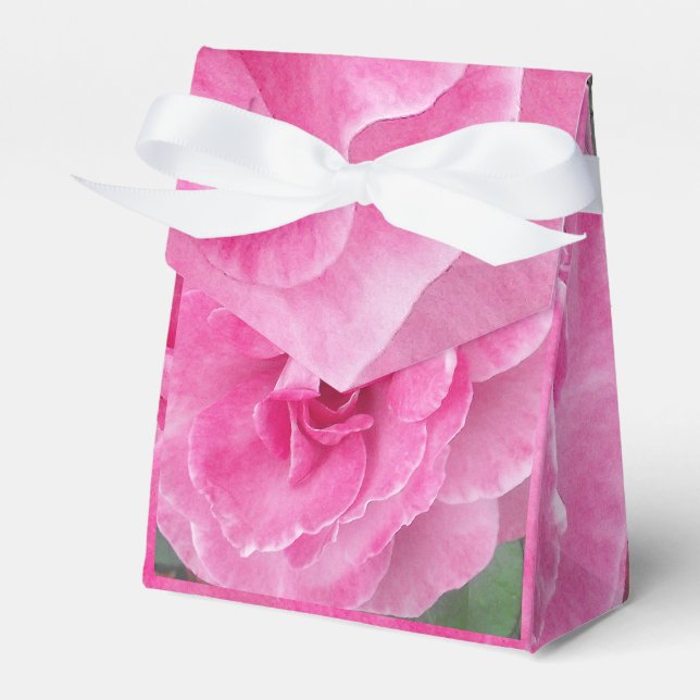Ballotins Ruban Rose de jardin rose (Verso)