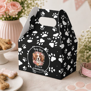 Ballotins Saint Chien, J'ai Un An Fête d'anniversaire de C