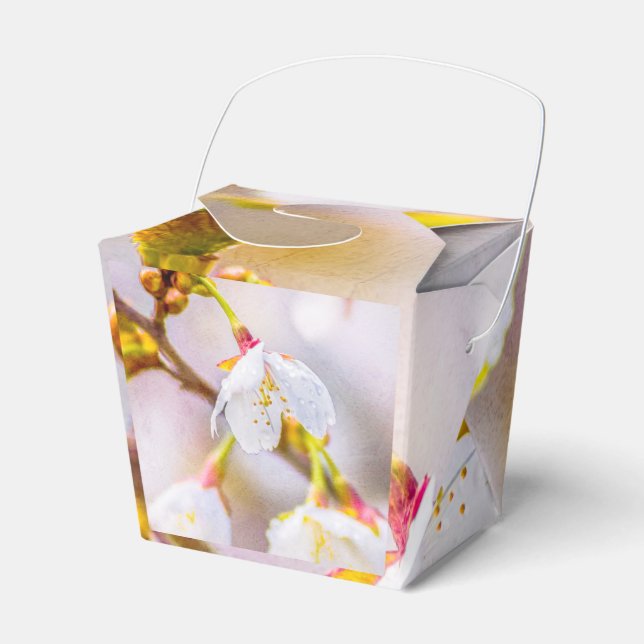 Ballotins Sakura - Fleur de cerisier japonaise (Verso)