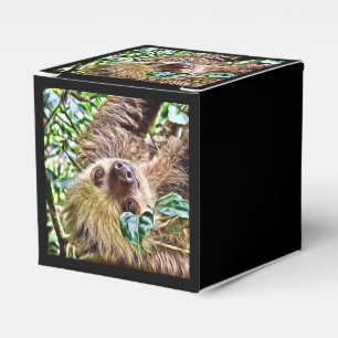 Ballotins Sloth peint