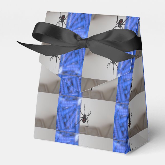 Ballotins Spiders (Verso)