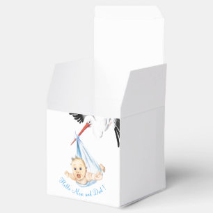 Ballotins Stork Carrying Baby Favor Box