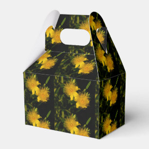 Ballotins Sunburst Flowers Party Favoriser Box