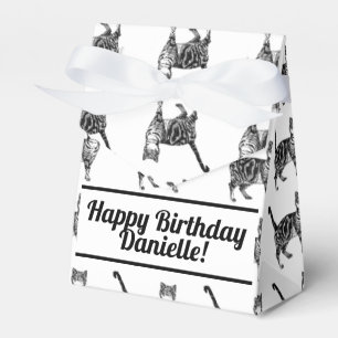 Ballotins Tabby Chat Noir Anniversaire Chats Ballotin de gât