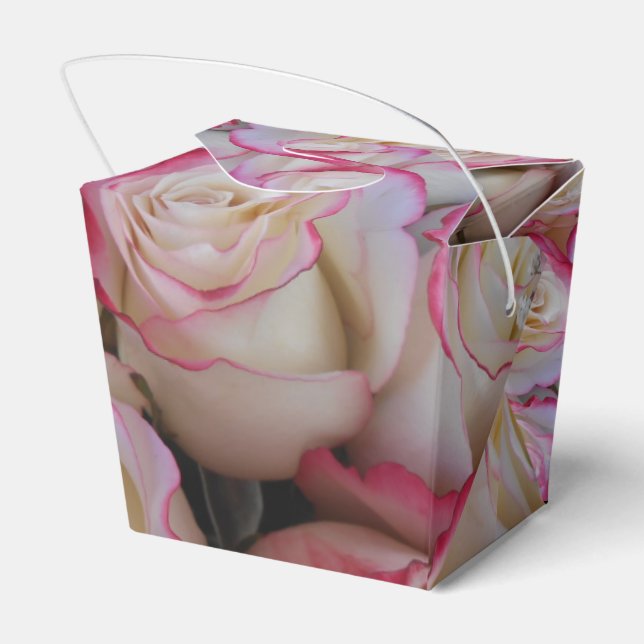 Ballotins Thamar (Arrière)