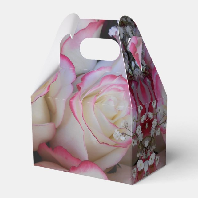 Ballotins Thamer (Verso)