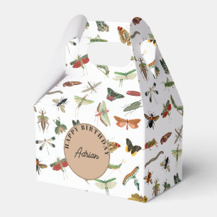 Ballotins Thème de fête d'anniversaire de l'insecte Vintage 