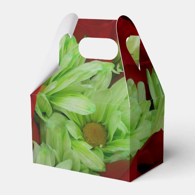 Ballotins Thomasse (Verso)