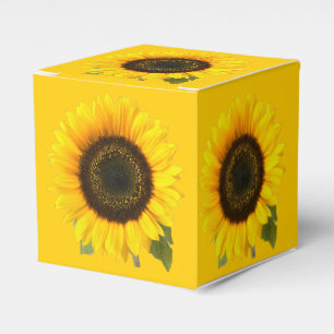 Ballotins Tournesol