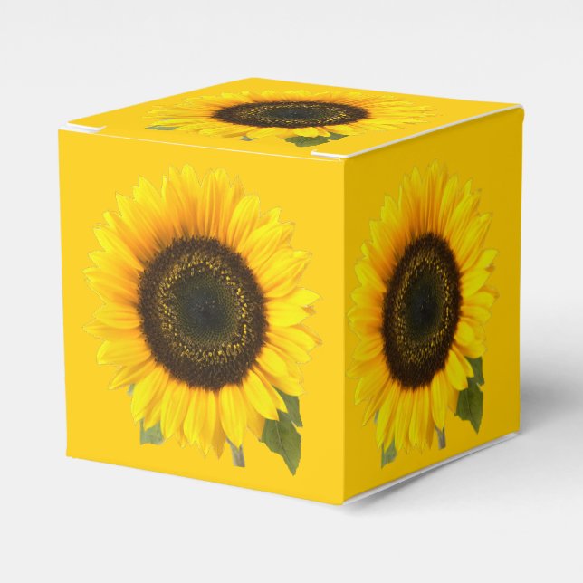 Ballotins Tournesol (Verso)