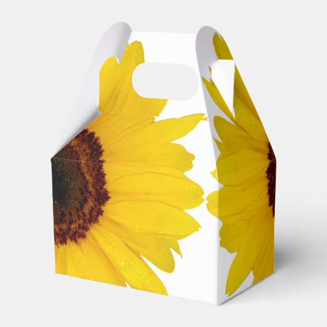 Ballotins Tournesol (Verso)
